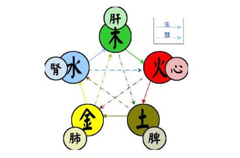 动物五行|五行（对万事万物的取象比类）